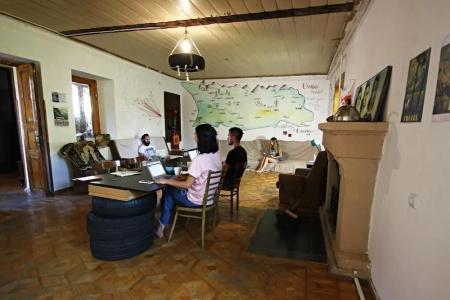 Dingo Backpackers Hostel - 22