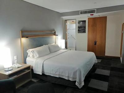 Holiday Inn Express Mexico Reforma - 42