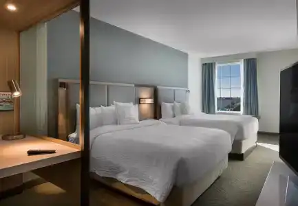 SpringHill Suites by Marriott - 1