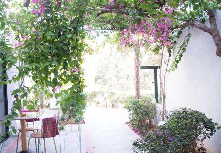 Anna Maria Village - 21