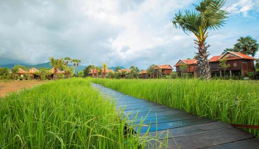 Kampot River Residence - 30
