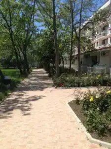 Зефир - 46