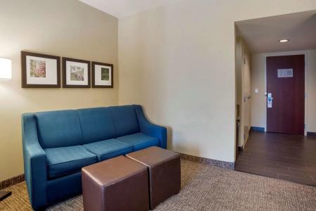 Comfort Suites North - 15