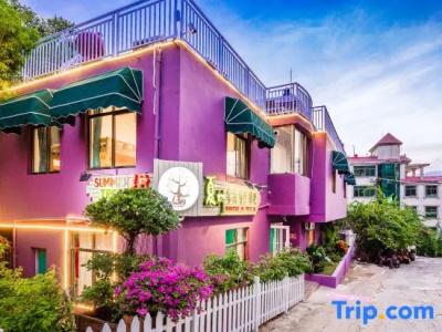 Summer Tree Inn (The Captain's Hostel) - 18