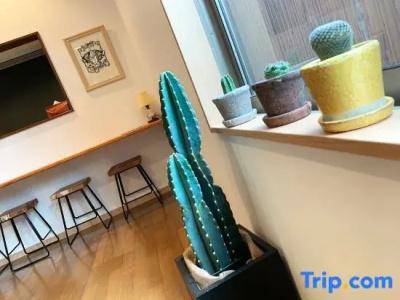 Cactus Inn - 77