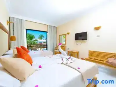The Grand Resort - 101