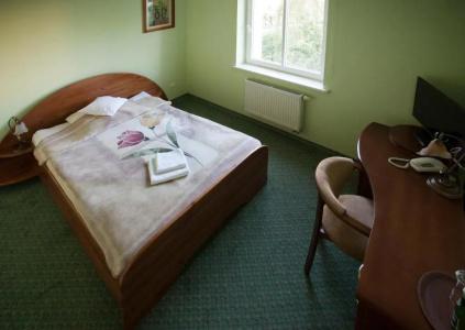 Stary Malbork - 17