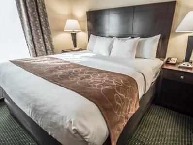 Comfort Suites Orlando Airport - 66