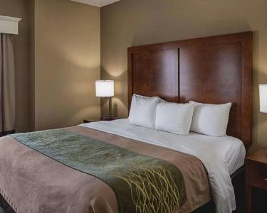 Comfort Inn South I-20 - 34