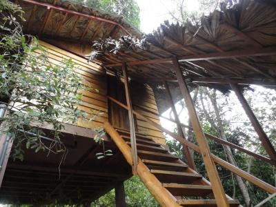 Inn On The Tree Eco Resort Sigiriya - 5