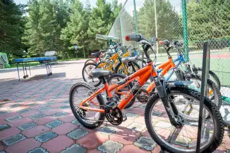 Борвиха&SPA - 27