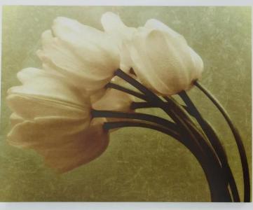 Basseynaya Apart - 44