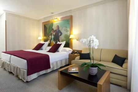 Princesa Plaza Madrid - 3