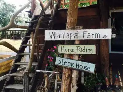 Wanlapa Farmstay - 14