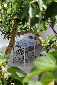 Intorno Al Fico - 60