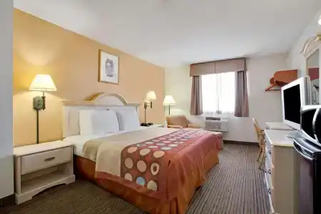 Super 8 by Wyndham/St. Petersburg Airport - 14