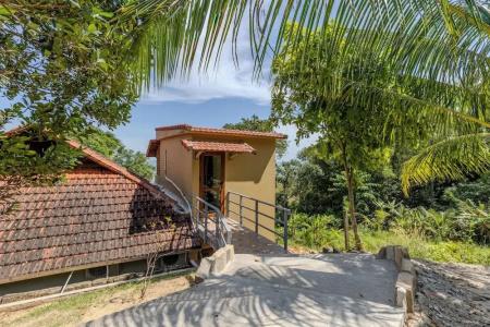 Mango Beach Resort - 72