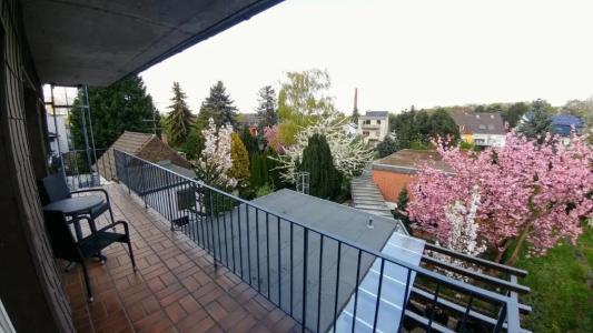 Wilms - 6
