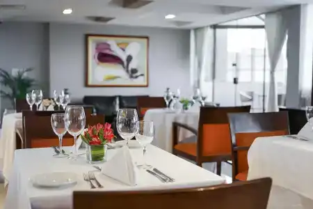 Windsor Plaza Brasília - 17