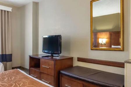 Comfort Suites Walnut Creek - 44