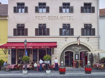 Pest-Buda Design By Zsidais At Buda Castle - 36
