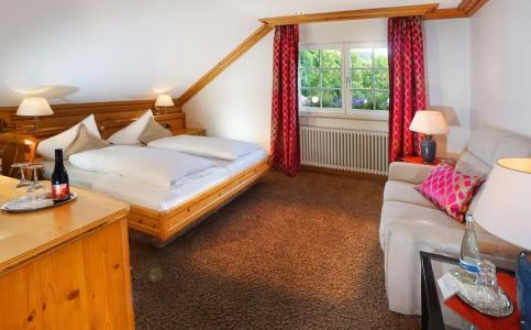 Rebstock Durbach - 14
