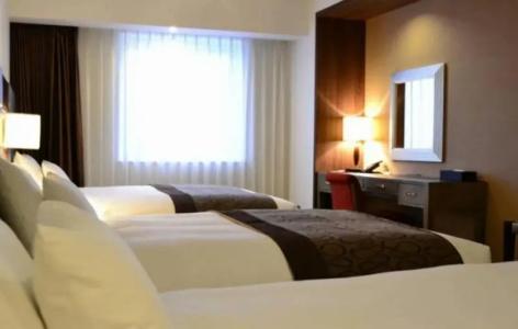 Ibis Styles Sapporo - 41