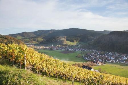 Gasthaus Adler - 16