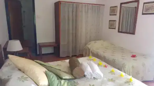 Mango Lodge - 31