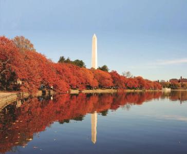 Arc Washington Dc, Georgetown - 46