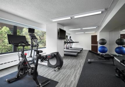 Sonesta ES Suites Chicago Downtown Magnificent Mile - 19