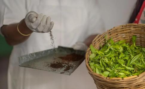 Heritance Tea Factory - 44