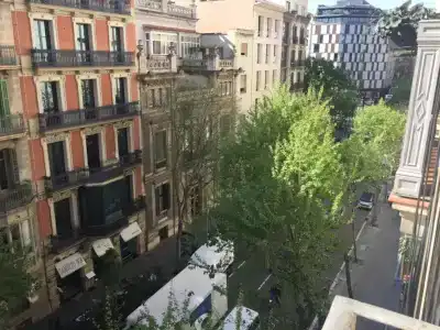 Petit Rosselló - 12