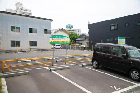 New Green - 13