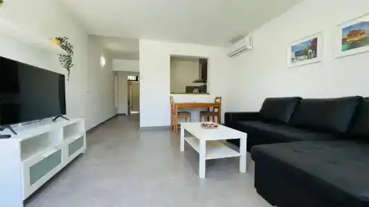 Palmeras Garden - 77