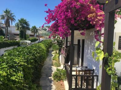 Salinas Bodrum - 42