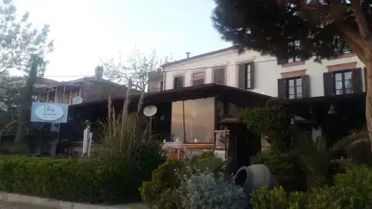 Aliye Hanim - 0