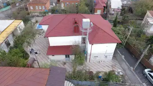 Sofia - 24