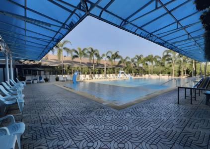 Suan Palm - 9