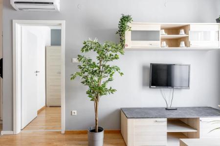 Maple Tree Budget - 16