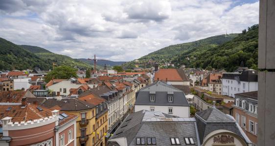 Plaza Premium Heidelberg - 74
