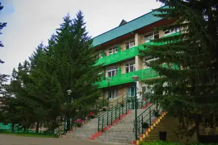 Сосновый бор - 0