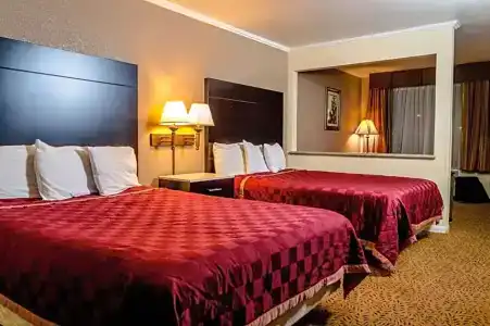 Executive Inn & Suites - 19
