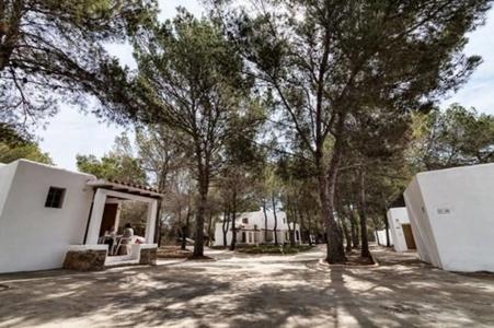 Bungalows Es Pins - Formentera Vacaciones - 20