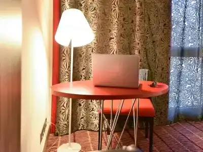 Mercure Blois Centre - 43