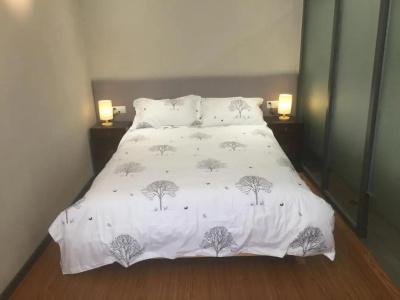 Fengma Feiyang - 43