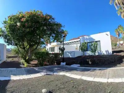 Palmeras Garden - 285