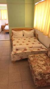 Ankor - 35