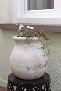 Le Saint Louis - 40