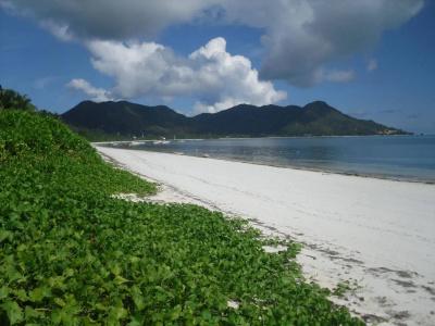 Amitie Chalets Praslin - 9